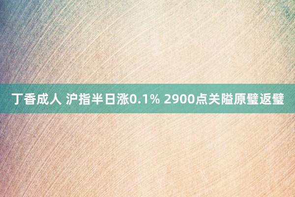 丁香成人 沪指半日涨0.1% 2900点关隘原璧返璧