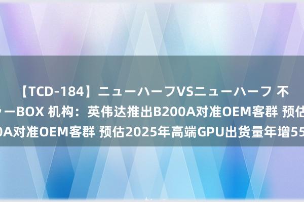 【TCD-184】ニューハーフVSニューハーフ 不純同性肛遊ベストセラーBOX 机构：英伟达推出B200A对准OEM客群 预估2025年高端GPU出货量年增55%