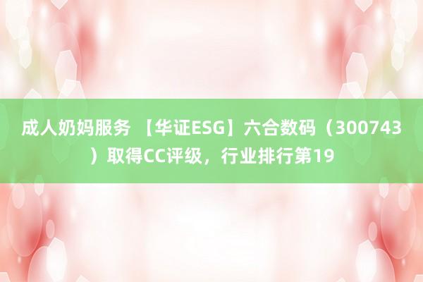 成人奶妈服务 【华证ESG】六合数码（300743）取得CC评级，行业排行第19