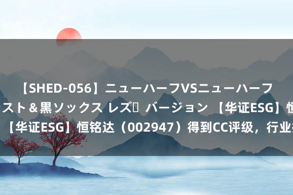 【SHED-056】ニューハーフVSニューハーフ 不純同性肛遊 3 黒パンスト＆黒ソックス レズ・バージョン 【华证ESG】恒铭达（002947）得到CC评级，行业排行第18