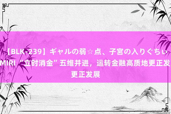 【BLK-239】ギャルの弱☆点、子宮の入りぐちぃ EMIRI “立时消金”五维并进，运转金融高质地更正发展