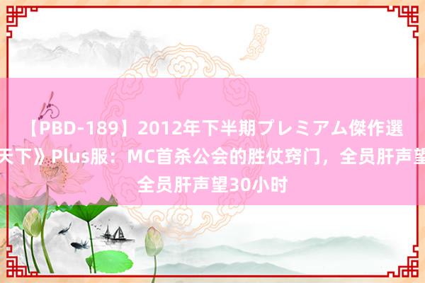 【PBD-189】2012年下半期プレミアム傑作選 《魔兽天下》Plus服：MC首杀公会的胜仗窍门，全员肝声望30小时