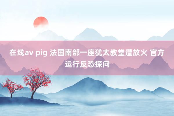 在线av pig 法国南部一座犹太教堂遭放火 官方运行反恐探问