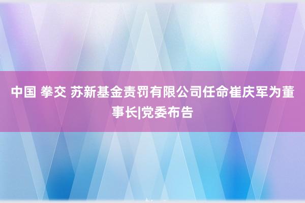 中国 拳交 苏新基金责罚有限公司任命崔庆军为董事长|党委布告