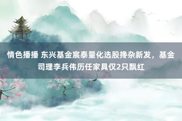 情色播播 东兴基金宸泰量化选股搀杂新发，基金司理李兵伟历任家具仅2只飘红