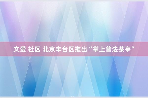 文爱 社区 北京丰台区推出“掌上普法茶亭”