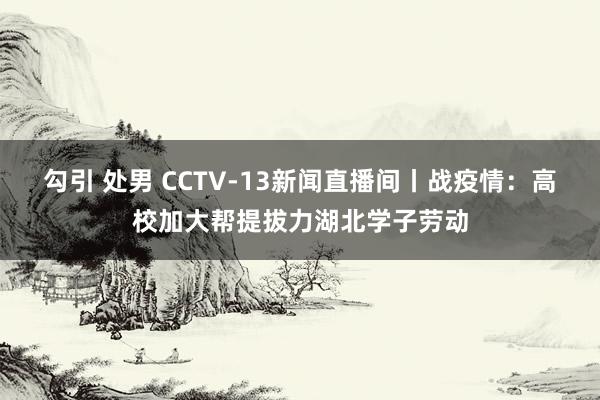 勾引 处男 CCTV-13新闻直播间丨战疫情：高校加大帮提拔力湖北学子劳动